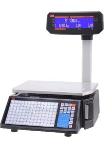 Rongta RLS 1100c Serisi